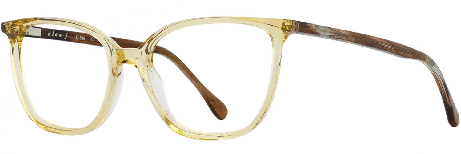 Alan J AJ506 Eyeglasses - view 21